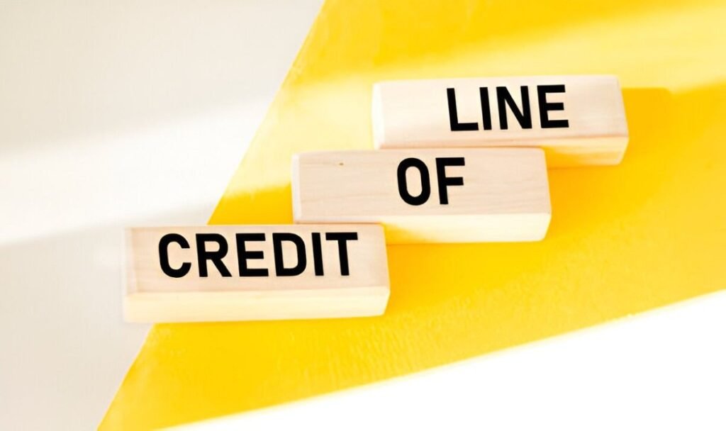 Free Excel Template Download Line of Credit Management Tool