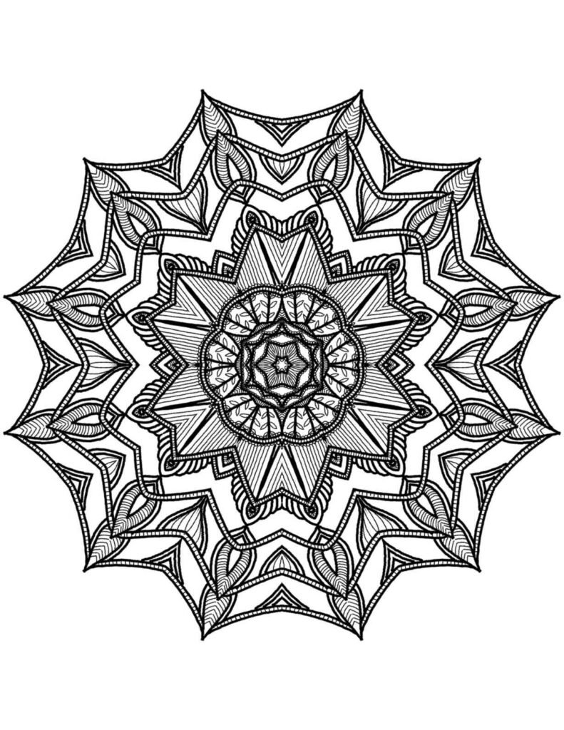 Highly detailed symmetrical petal burst mandala, complex floral design for adult coloring, free printable