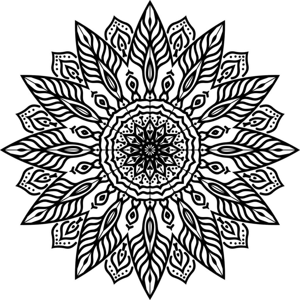 Symmetrical flower mandala with intricate feather-like patterns and repeating motifs, detailed adult coloring page