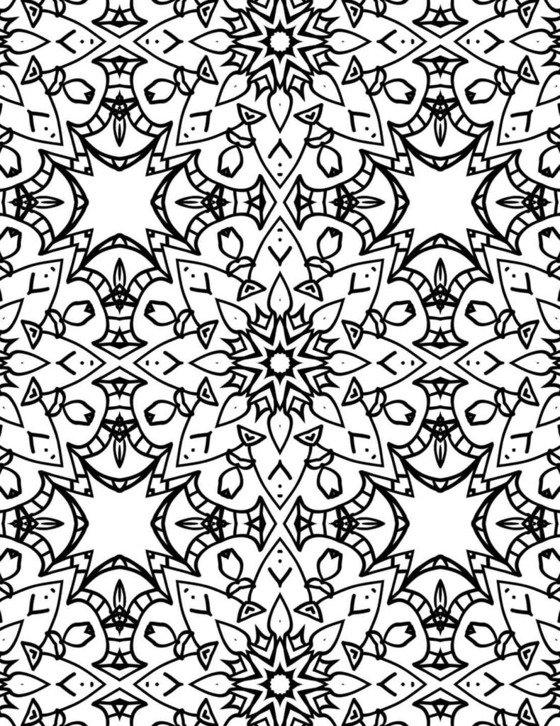 Intricate black and white mandala featuring starburst centers, curved petals, and symmetrical leafy patterns
