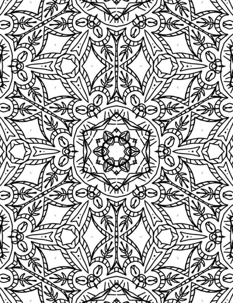 Symmetrical mandala pattern with interwoven stars, leaves, and geometric botanical details in black and white